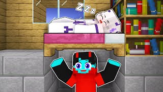 I Spent 24 Hours in Sheyyyns House  Minecraft [upl. by Abner]