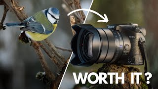 Sony 24600mm SUPER ZOOM no one talks about [upl. by Ochs]