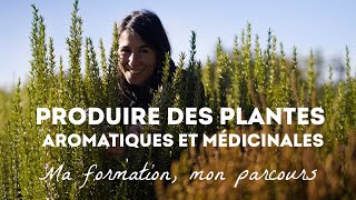 Produire des plantes aromatiques et médicinales  ma formation [upl. by Ahsito]