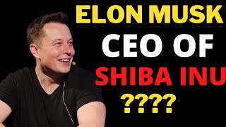 Is Elon Musk The CEO of Shiba Inu Coin Is Ryoshi Exposed [upl. by Cran]