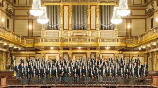 Das beste der Wiener Philharmoniker auf fidelio [upl. by Ahsahs]