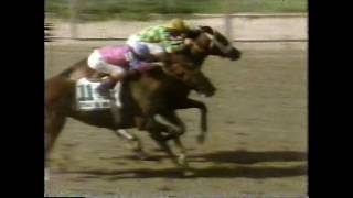 HANSEL  Belmont Stakes 1991 [upl. by Erdeid]