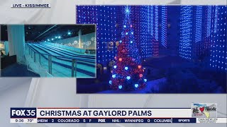 Celebrate Christmas at Gaylord Palms [upl. by Nehcterg]