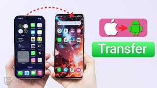 2024 How to Transfer WhatsApp Business from Android to iPhone without PC [upl. by Gelasias]