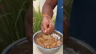 Soybean ko banaye fast food food foodrangers rangerscookingshow [upl. by Mathis]