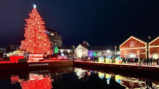 北海道 函館 はこだてクリスマスファンタジーのラスト花火 20231225 [upl. by Gerstein]