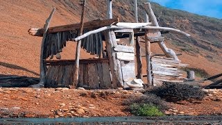 Entirely Awesome Driftwood Cabin [upl. by Calhoun736]