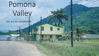 Pomona Valley by Dell and the Sensations [upl. by Eilujna]