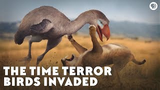 The Time Terror Birds Invaded [upl. by Nerrawed266]