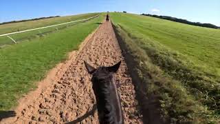 John Barbour heading up the gallop at Fergal OBriens  GoPro footage  Shorts [upl. by Ailero]