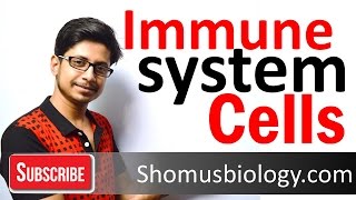 Cells of immune system [upl. by Nawram764]