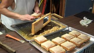 Cutting Comb Honey from the frames Honeybee Comb Honey [upl. by Colpin728]