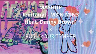 Mashup Femtanyl  M3 N MIN3 feat Danny Brown x Push your T3MPRR [upl. by Carlisle459]