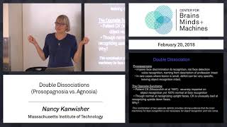 214  Double Dissociations Prosopagnosia vs Agnosia [upl. by Thecla]