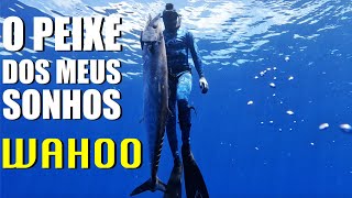 Hunters Pesca Sub  WAHOO  A captura mais esperada  Episódio 2 [upl. by Aaron]