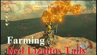 Zelda  BOTW  Part 89  Farming Red Lizalfos Tails for Snowquill armor upgrade Later [upl. by Anim161]