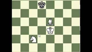 Knight Bishop Checkmate Forcing the King to the Corner [upl. by Ahsonek]