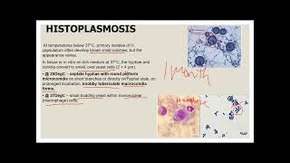 LESSON 4 SYSTEMIC MYCOSIS [upl. by Tharp85]