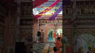 🚩🚩Songiri jain tirth Kshetra mandir mp🚩🚩 [upl. by Ainola]