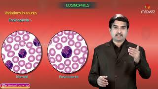 Eosinophils  Structure and Function  Blood Physiology [upl. by Vil]