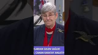 Canan Karatay quotŞeker Hastalığı Düzelirquot  Ezgi Sertelle Kadınlar Bilir shorts [upl. by Amandie921]