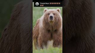 Now vs million years back  Bear shorts short wildlife animals youtubeshorts [upl. by Hammerskjold]