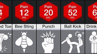 Comparison Human Pain [upl. by Mcspadden]