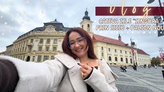 Vlog cateva zile prin Sibiu  Perfect me time  Incercam un palton nou [upl. by Neona290]