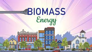 What is Biomass A Renewable Energy Source that Puts Organic Waste to Use [upl. by Aneerb]