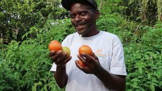 Farmers Field Day in Mavuria Mbeere Embu County [upl. by Rebba]