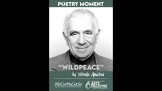 Yehuda Amichais quotWildpeacequot Poetry Moment [upl. by Jacqueline]