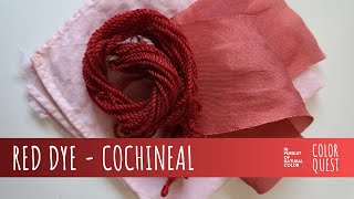 HOW TO MAKE RED DYE WITH COCHINEAL  ORGANIC COLOR  WOOL SILK COTTON  RAINBOW PALETTE [upl. by Jacynth]