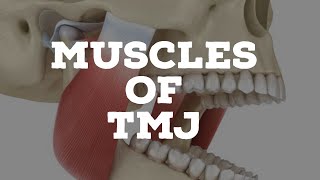 Muscles of temporomandibular joint [upl. by Vivyan]