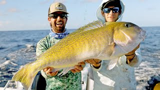 GIANT Golden Tilefish and Swordfish Fishing [upl. by Zenia]