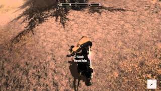 Elder Scrolls V Skyrim Dragonborn DLC Gameplay  Find Verona Nelas [upl. by Woermer772]