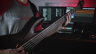 Double Drop D Multiscale Bass [upl. by Elayor]