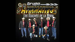 el compa ray grupo afirmativo los guaches de la noria [upl. by Weaver]