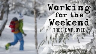 Working For The Weekend S2E1  Tree Employee [upl. by Nilekcaj]