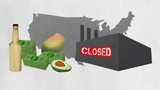 NAFTA explained by avocados And shoes [upl. by Vani38]