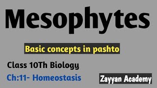 Osmoregulation in Plants Mesophytes Class 10th Biology pashto lecture [upl. by Yeliw]