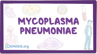 Mycoplasma pneumoniae  an Osmosis Preview [upl. by Giacomo]