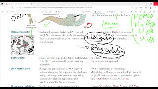 Organization of DNA and chromatin structure  Molecular biology BiochemistryFirst Aid LectureLec4 [upl. by Annabel]