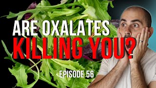 Are Oxalates Destroying Your Health Yes Probably  Ep 56 [upl. by Ttessil]