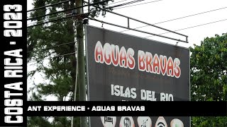 Hormigas Town Ant Experience Aguas Bravas Costa Rica 2023 [upl. by Pravit]