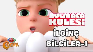 İlginç Bilgiler  1  Bulmaca Kulesi [upl. by Stephine]