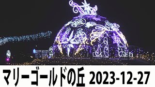 マリーゴールドの丘イルミネーション 埼玉県本庄市 20231227 [upl. by Maples]