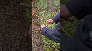 A great method for tightening the tarp ridgeline bushcraft survival tarpcamping tarpknot [upl. by Gittle]