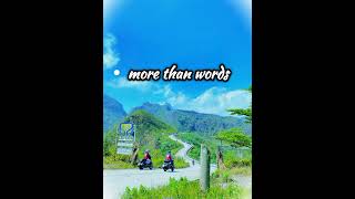 more than wordscover by ervanblueservideo lyrics [upl. by Oninotna]