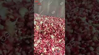 Tunisian soft seed pomegranate seeds peel separating separator machine [upl. by Teddie]