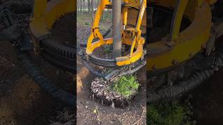 didingmachine treecuttingservice treedidingvideo treeremoval treedidingmachine [upl. by Aitel]